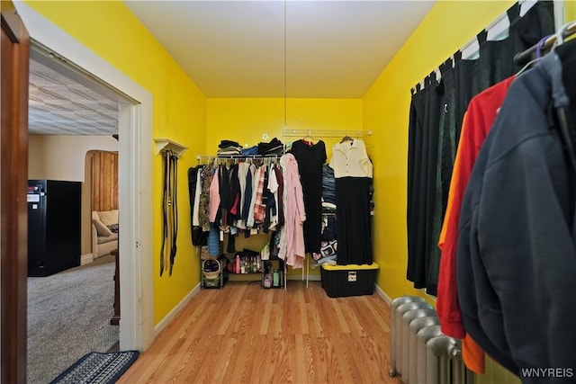 walk in closet featuring radiator heating unit and wood finished floors