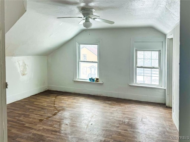 bonus room featuring a wealth of natural light, a textured ceiling, and wood finished floors