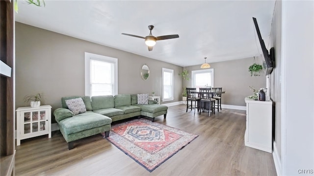 living room featuring ceiling fan, light wood-style flooring, and baseboards