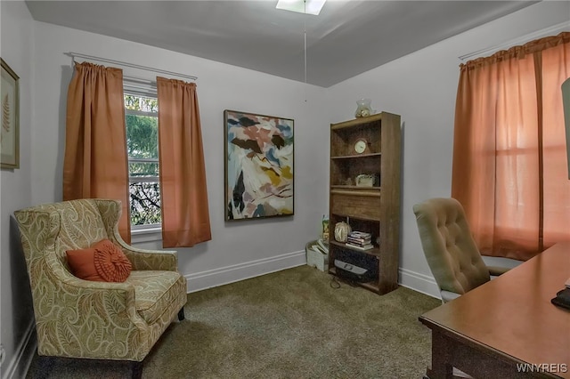 office with carpet flooring and baseboards