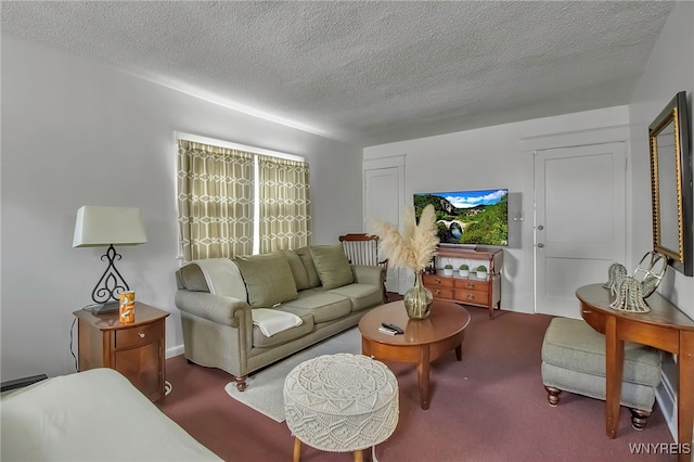 carpeted living area with a textured ceiling