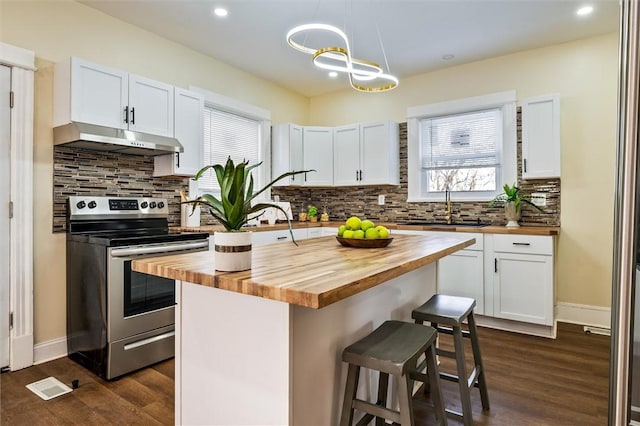 kitchen featuring a sink, under cabinet range hood, wood counters, and stainless steel electric range