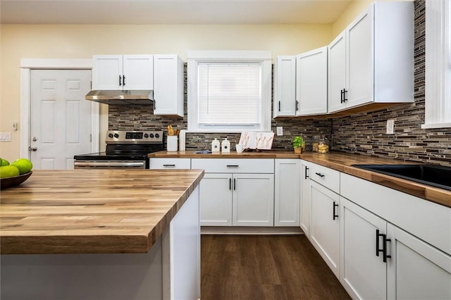 kitchen featuring electric stove, backsplash, wood counters, and under cabinet range hood