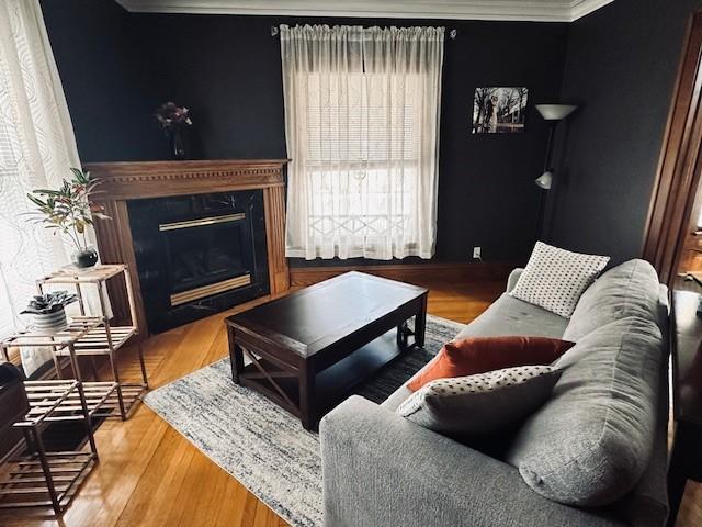 living room with crown molding, wood finished floors, and a fireplace