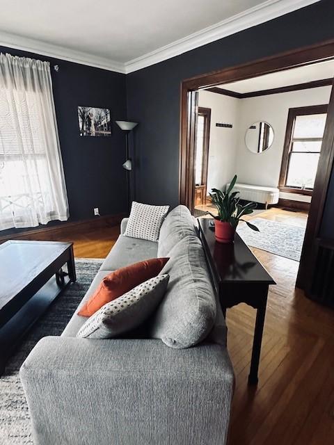 living room with crown molding