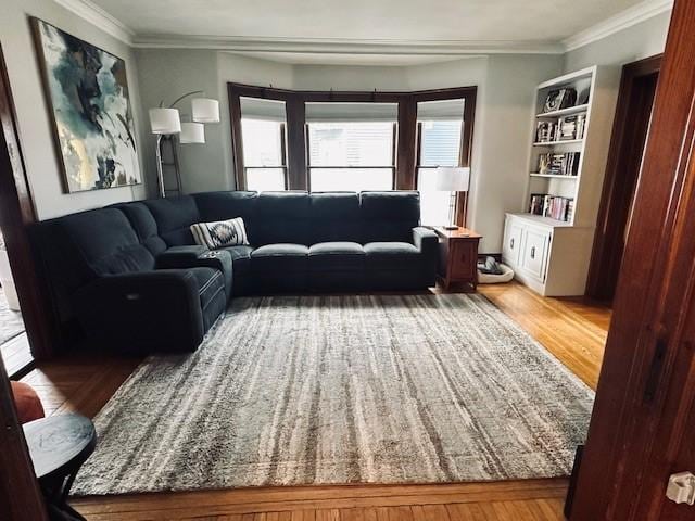 living area featuring wood finished floors and ornamental molding