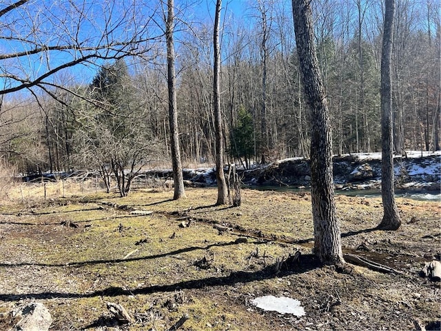 view of local wilderness with a forest view