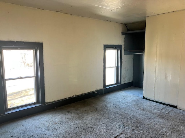 unfurnished bedroom featuring carpet floors and a closet