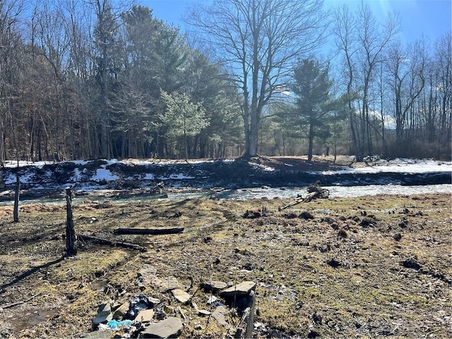 view of yard featuring a wooded view