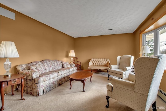 living area featuring carpet flooring