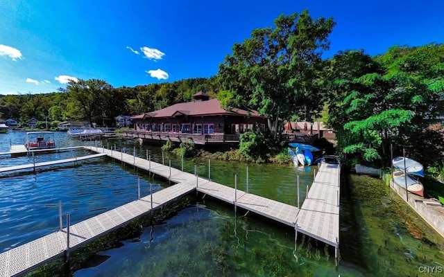 dock area featuring a water view