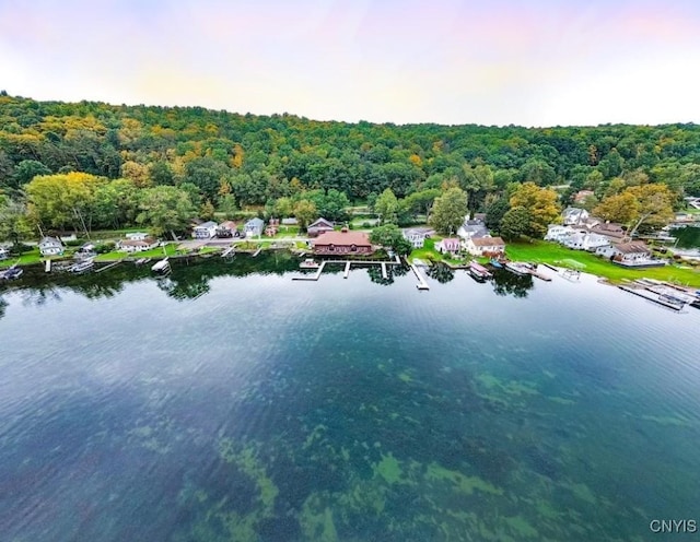 aerial view with a wooded view and a water view