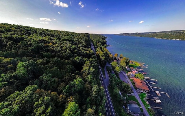 birds eye view of property with a water view