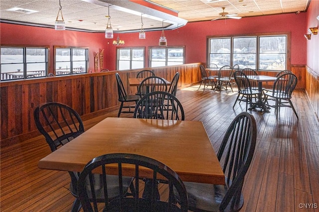 dining space with wainscoting, wood walls, a healthy amount of sunlight, and hardwood / wood-style flooring