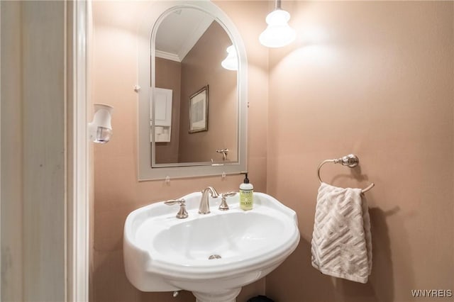 bathroom with ornamental molding and a sink