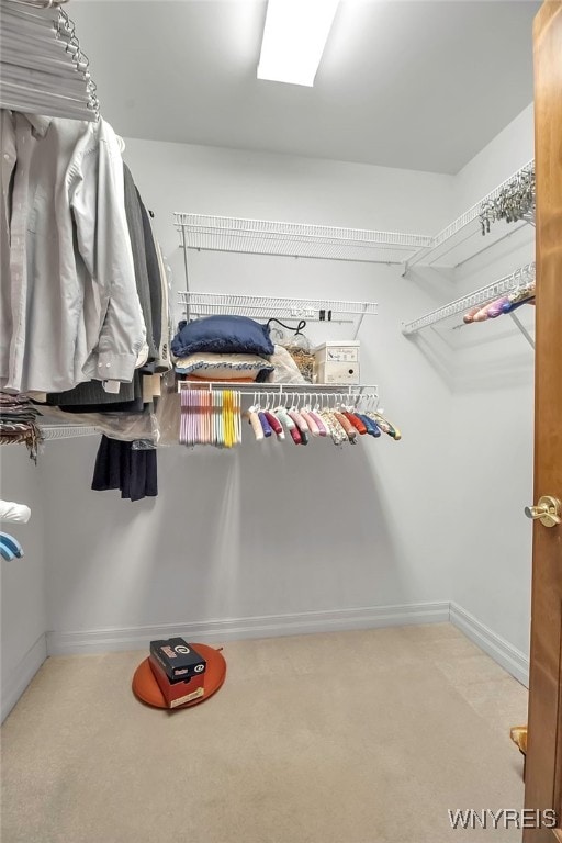 walk in closet featuring carpet floors