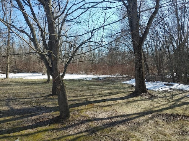 view of snowy yard