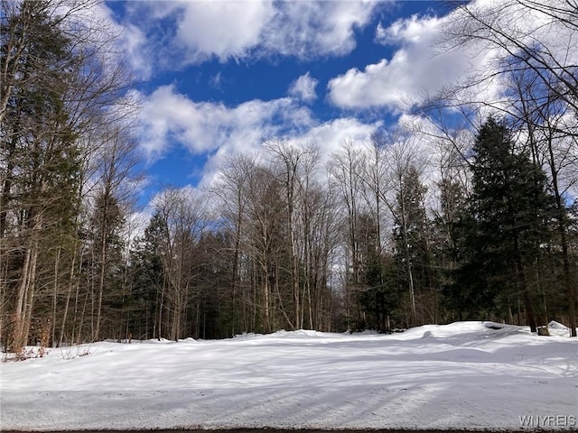 Zimmerman Rd, Boston NY, 14025 land for sale