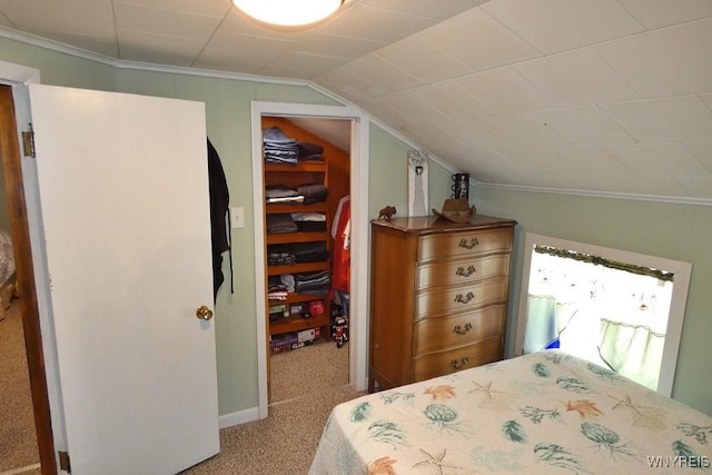 carpeted bedroom with a spacious closet, lofted ceiling, and ornamental molding