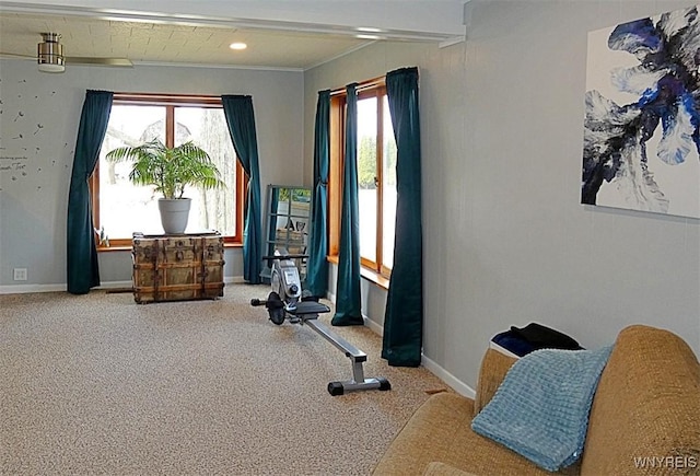 workout room with baseboards, a wealth of natural light, and carpet floors