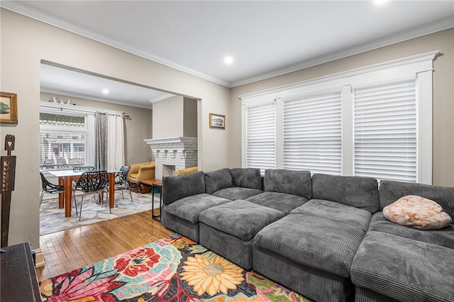 living room with a fireplace, wood finished floors, and crown molding