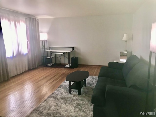 living area featuring wood finished floors