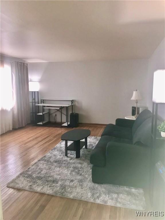 living area with wood finished floors