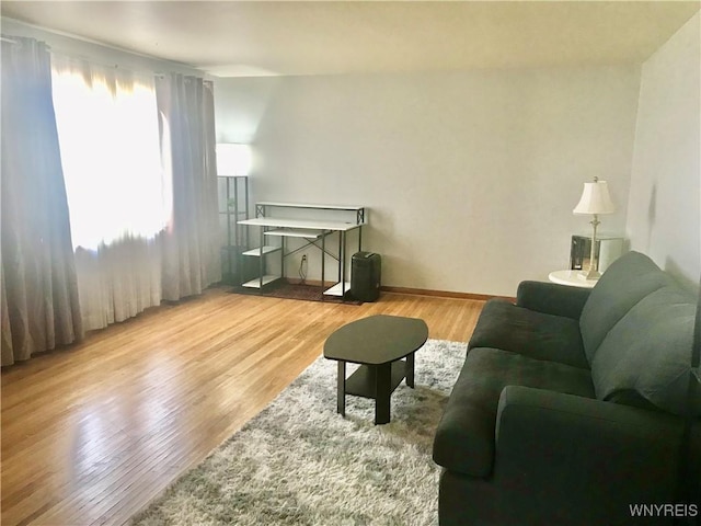 living area with wood finished floors