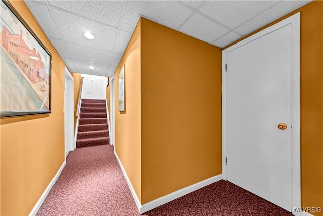 hall featuring stairs, carpet, baseboards, and a drop ceiling