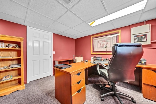 carpeted home office featuring a paneled ceiling