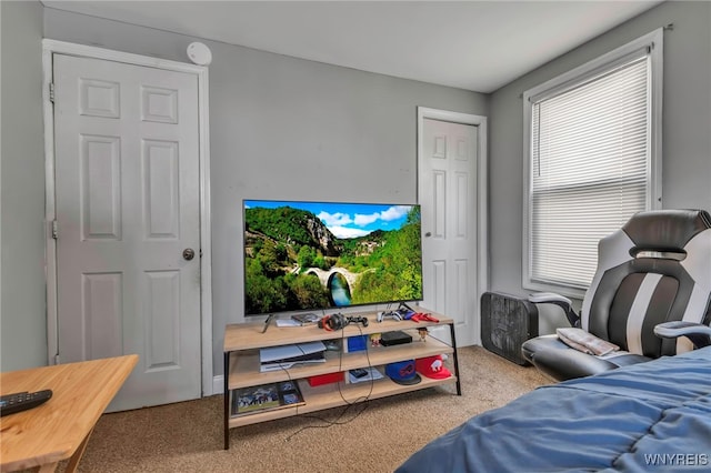 bedroom with carpet