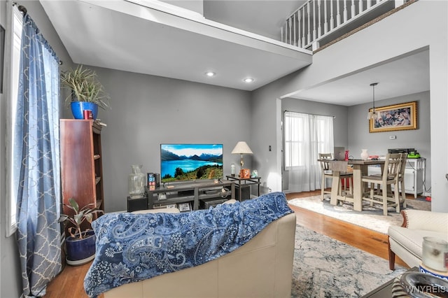 living room featuring wood finished floors