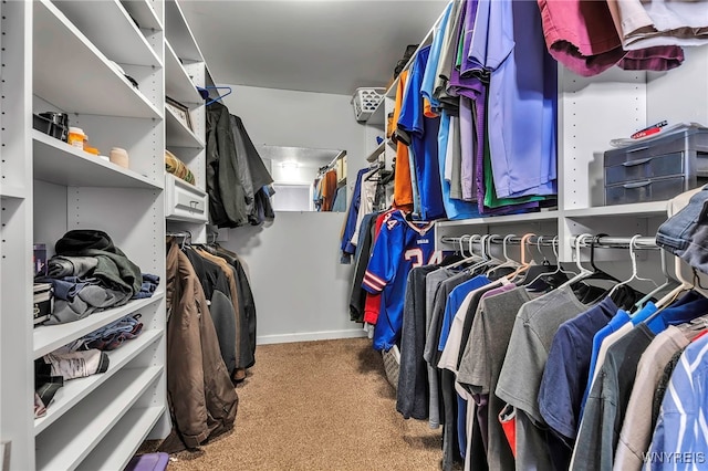 walk in closet featuring carpet floors