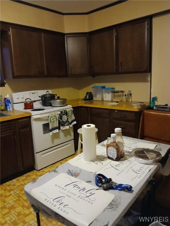 kitchen featuring electric range, dark brown cabinets, light countertops, and light floors