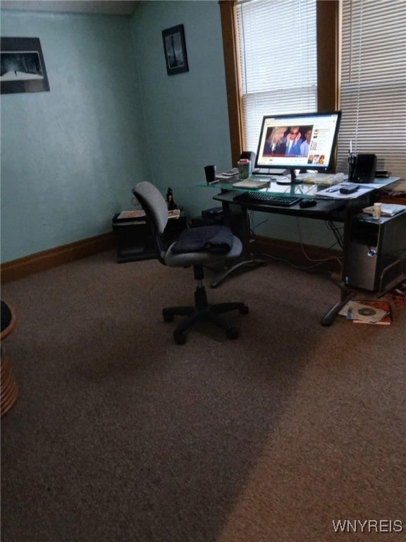 office space with baseboards and carpet flooring