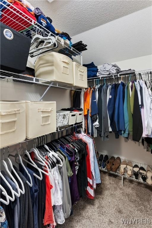 view of spacious closet