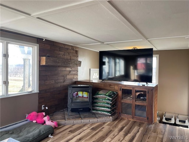 living area with wood finished floors, a wood stove, and a healthy amount of sunlight