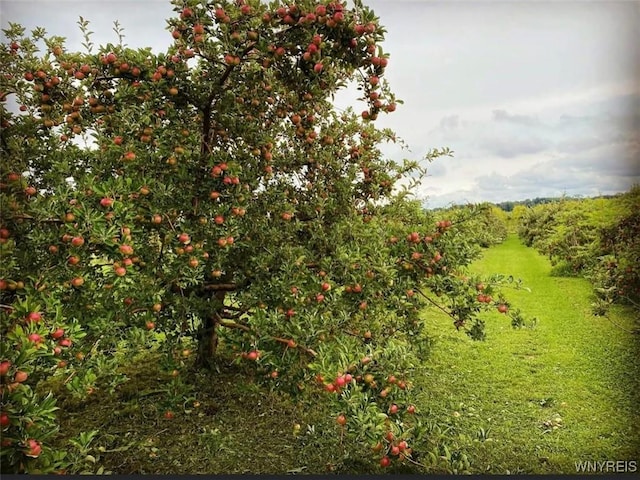 view of landscape