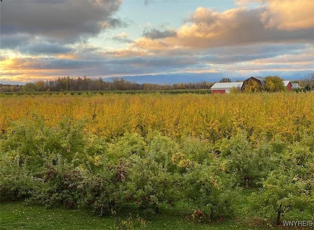 view of nature at dusk