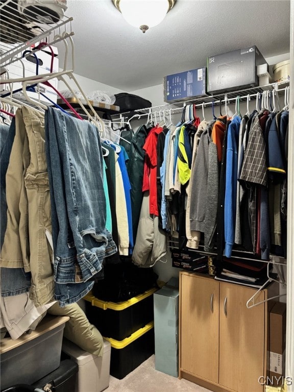 spacious closet with carpet flooring