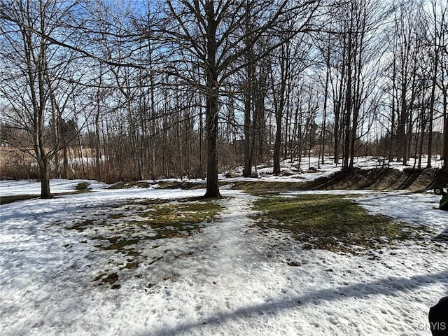 view of yard covered in snow