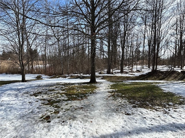 view of yard layered in snow