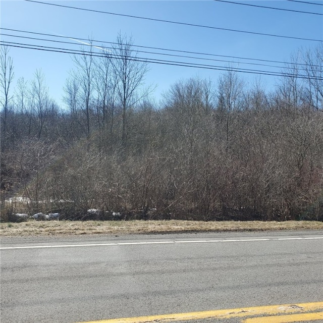 LOT10 Stony Point Rd, Ogden NY, 14559 land for sale