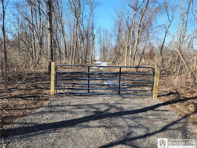 E Lake Rd, Westfield NY, 14787 land for sale