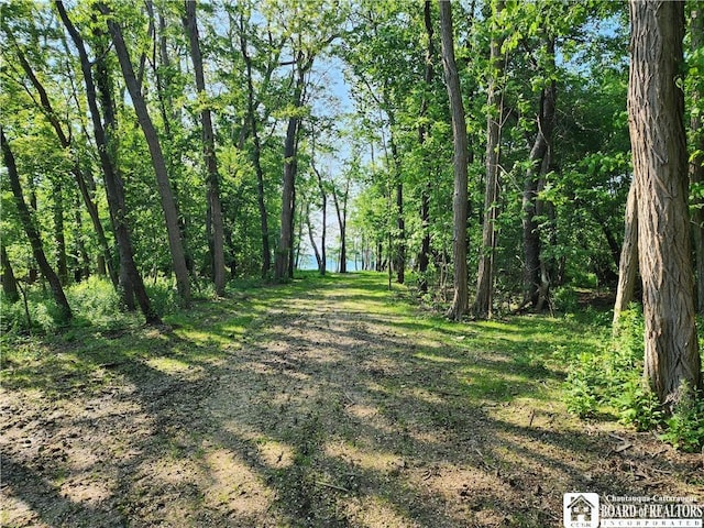 E Lake Rd, Westfield, NY 14787 - photo 4