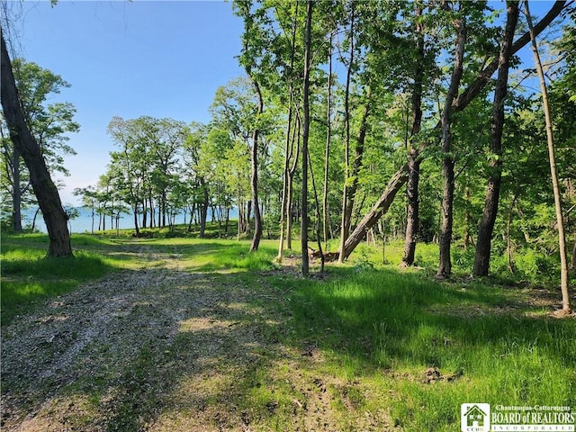 E Lake Rd, Westfield, NY 14787 - photo 6