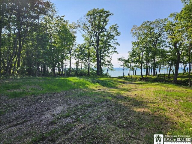 E Lake Rd, Westfield, NY 14787 - photo 7