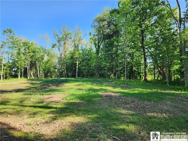 E Lake Rd, Westfield, NY 14787 - photo 9