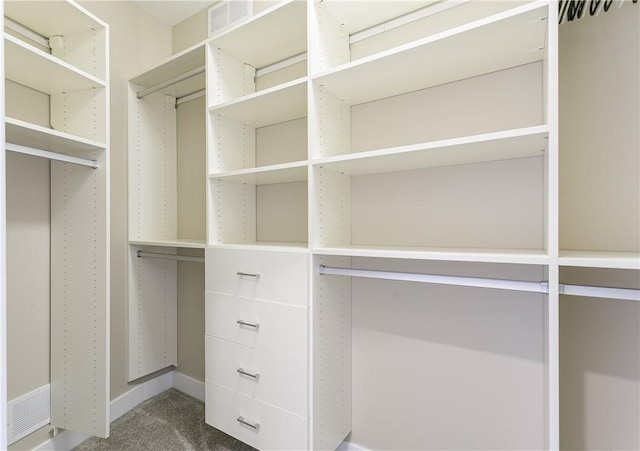 spacious closet with carpet flooring