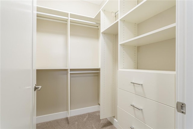 spacious closet with carpet floors